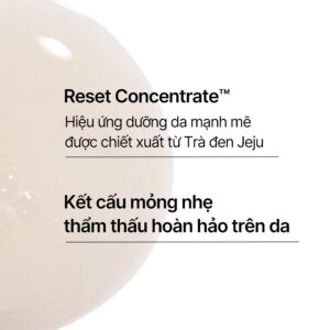 Tinh chất phục hồi da và chống lão hóa trà đen INNISFREE Black Tea Y