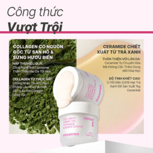 Kem dưỡng giúp làm mờ các dấu hiệu lão hóa trên da INNISFREE Collage