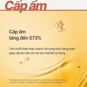 Nước dưỡng ngăn ngừa lão hóa từ trà đen INNISFREE Black tea Treatmen