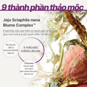 Kem dưỡng ngăn ngừa lão hóa chuyên sâu INNISFREE Perfect 9 Intensive