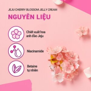 Gel dưỡng ẩm sáng da từ hoa anh đào đảo Jeju INNISFREE Cherry Blosso