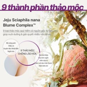 Nước cân bằng ngăn ngừa lão hóa chuyên sâu INNISFREE Perfect 9 Inten