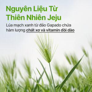 INNISFREE Green Barley Peeling Gel - ảnh nguồn HAR