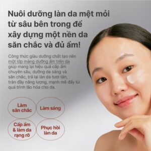 Kem dưỡng da ban đêm ngăn ngừa lão hóa từ trà đen INNISFREE Black Te