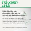 Trà xanh và HA trong toner INNISFREE Green Tea Hyaluronic Skin